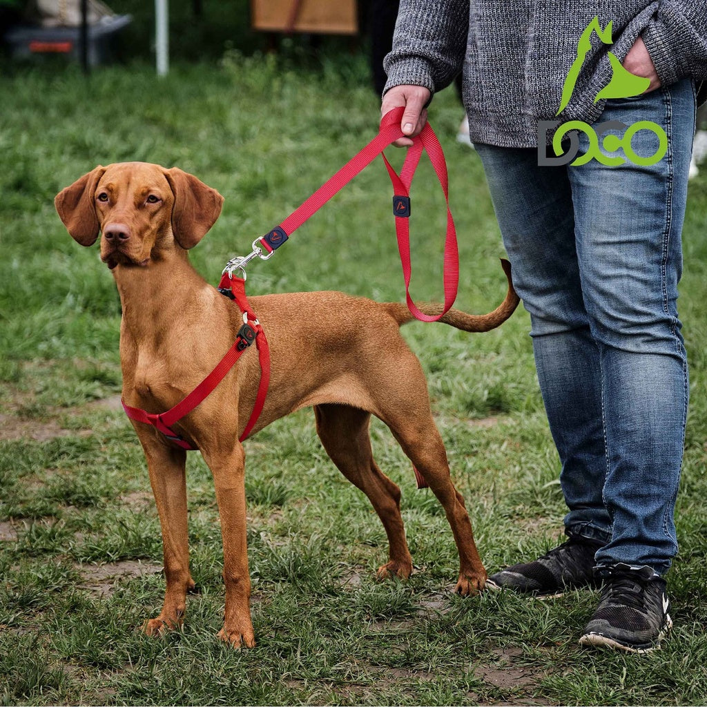 DOCO® Signature Nylon Leash - 6ft-1.0 x 180cm (XS)-Red