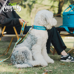 DOCO® VERTEX Reflective Ultralight Mesh Collar For Dogs-2.0 x 25-35cm-Coral Sea