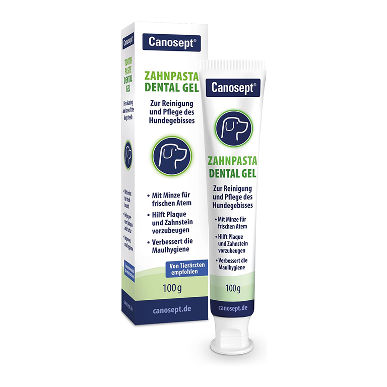Canosept Dental Care Toothpaste (100g)