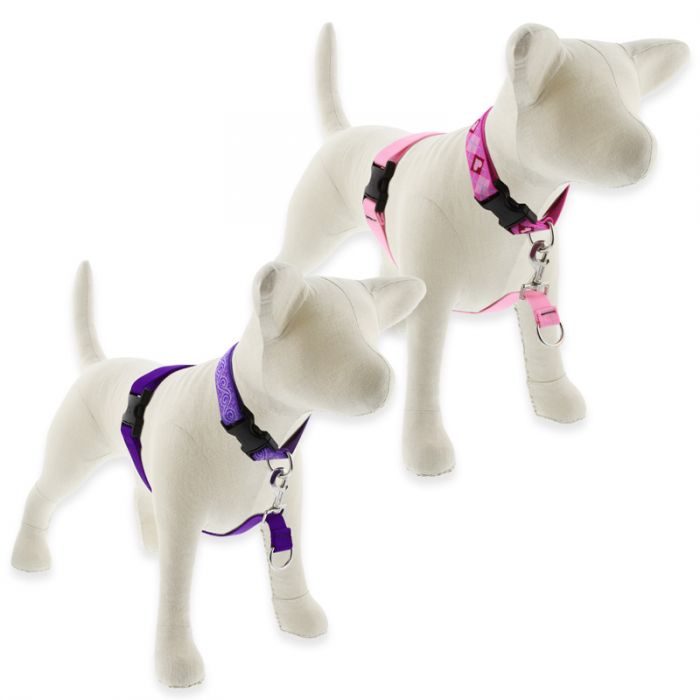 Dog Basic Solids No Pull Harness - orange - 3/4" width - 16" -26"