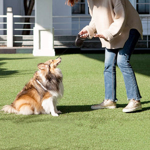 Fida Retractable Dog Leash (JFA Series) - M - brown