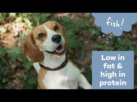 Duvo Dog Snack 80g[Flavor - Lamb, Options - Strips]