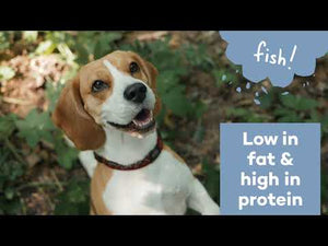 Duvo+ Chicken & Rawhide Small Bones[Weight - 1000g, Count - 86]