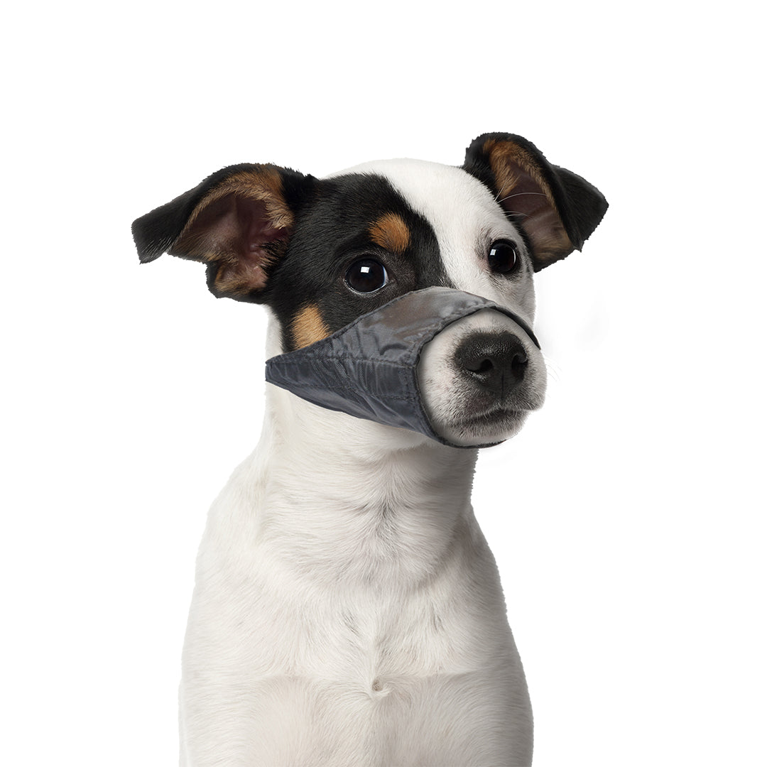 Duvo+ Dog Muzzle Nylon[Dimension - 43-64cm]