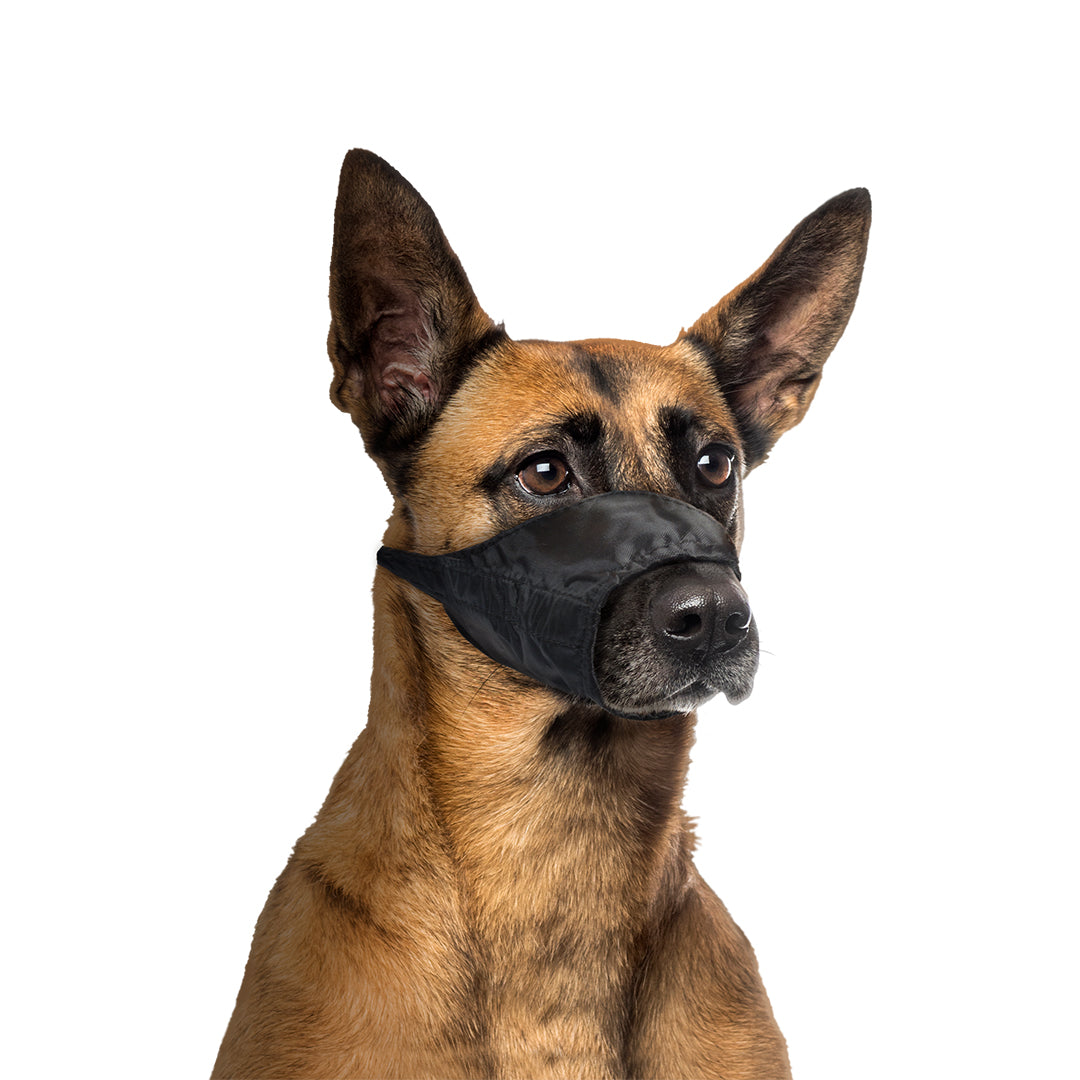 Duvo+ Dog Muzzle Nylon[Dimension - 62-90cm]