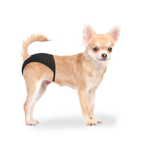 Duvo+ Dog Pants XS 18-23cm