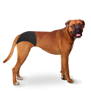 Duvo+ Dog Pants 24-31cm / 32 - 39cm  / 40 - 49cm[Length - 32 - 39cm]