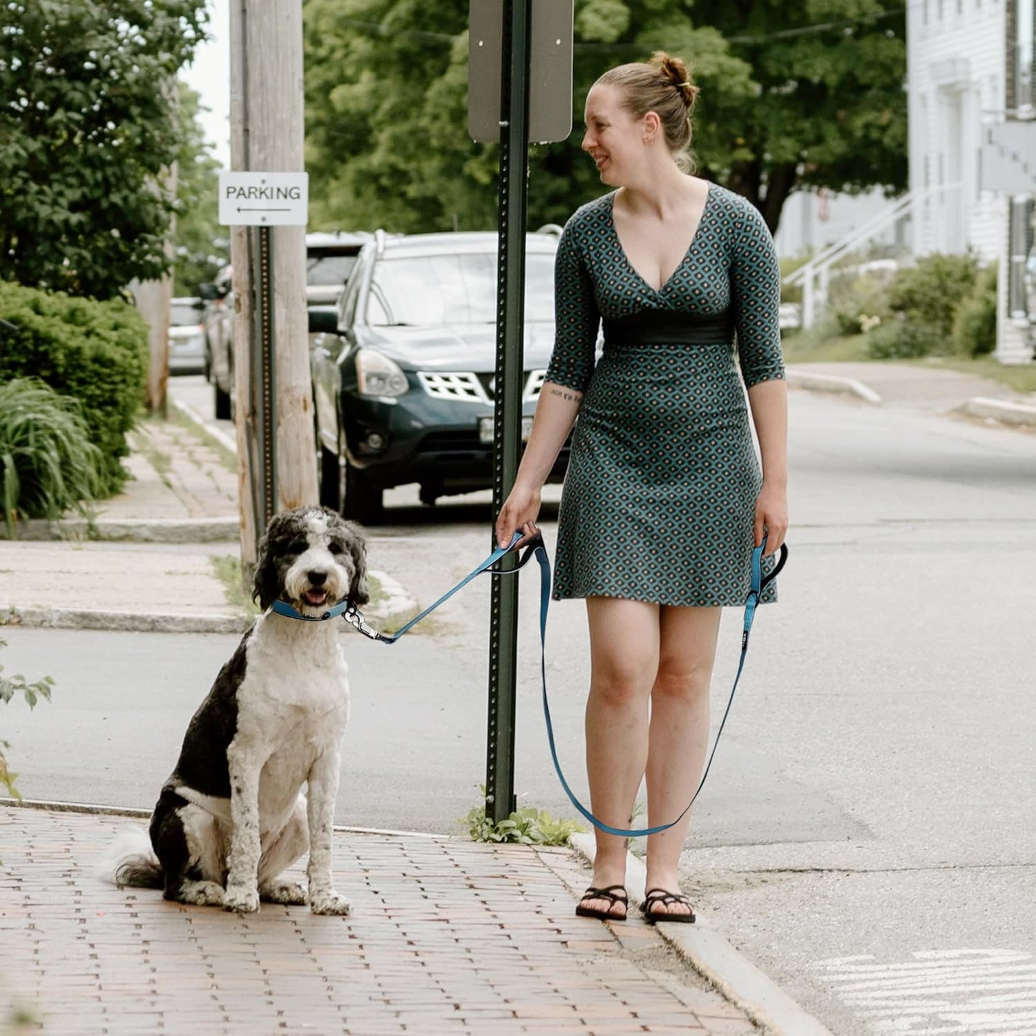 Fida Heavy Duty Dog Leash - 4ft - black