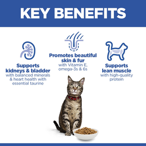 Hill’s Science Plan Adult Cat Food With Salmon (3kg)