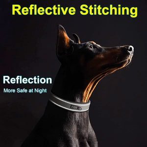 Fida Heavy Duty Dog Collar - Large - black