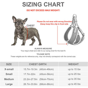Fida Step-in Dog Harness – Reflective - grey - XS