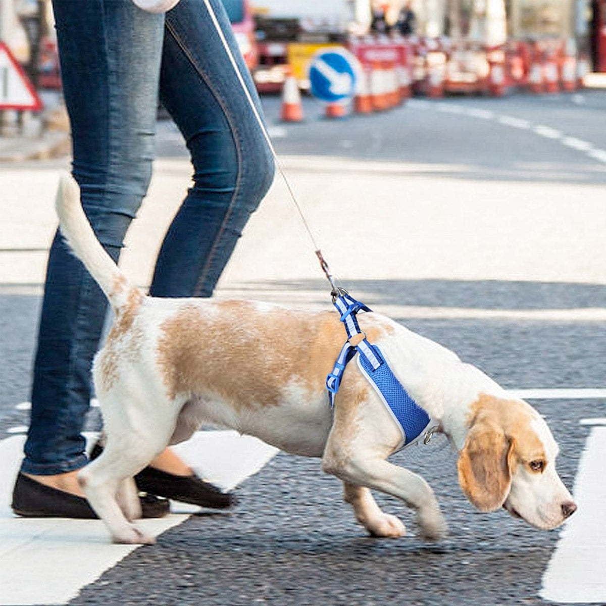 Fida Step-in Dog Harness – Reflective - air-blue - XS