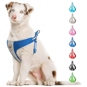 Fida Step-in Dog Harness – Reflective - green - M