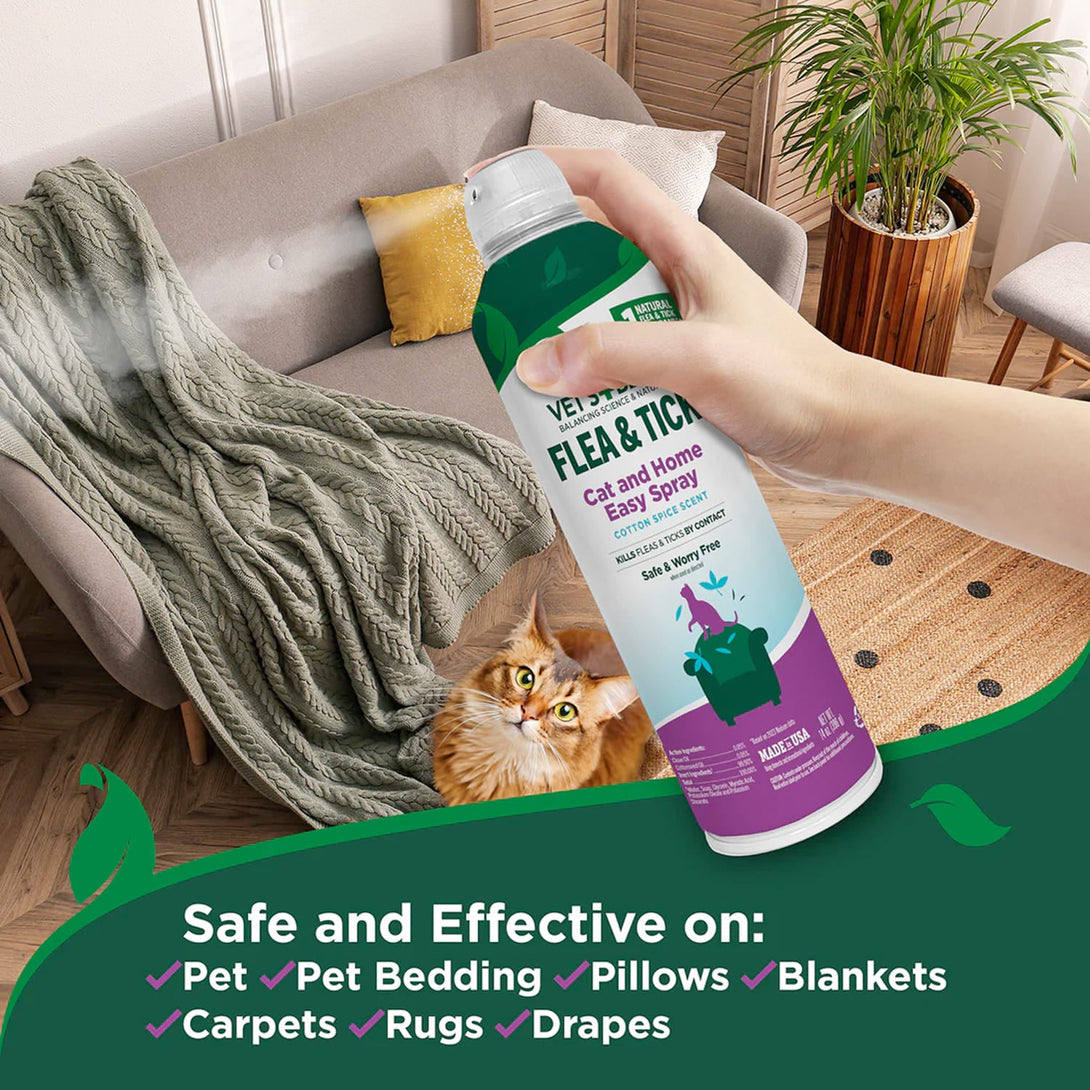 Pesticide Free Flea Repellent For Cats Using Lavender Oil photo