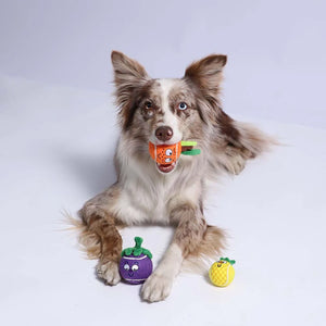 GiGwi Tennis Ball Originals Dog Toy (Orange)