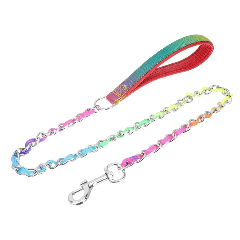 Golden Panda Chain Rainbow Leash[Length - 2.5mm x 110cm]