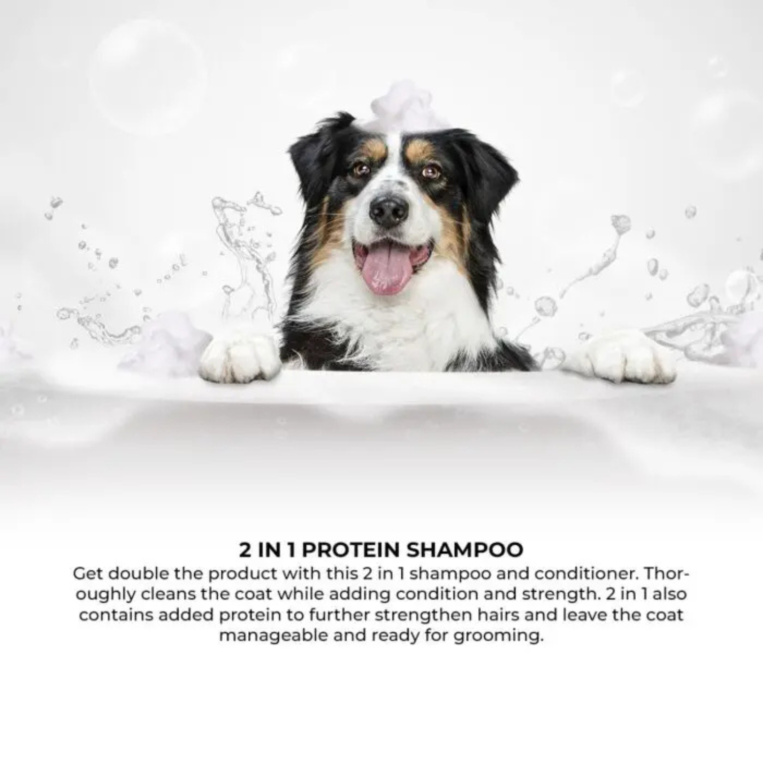 Groom Professional 2 In 1 Protein Pet Shampoo[Fresh Clean Scent]- 4 litres