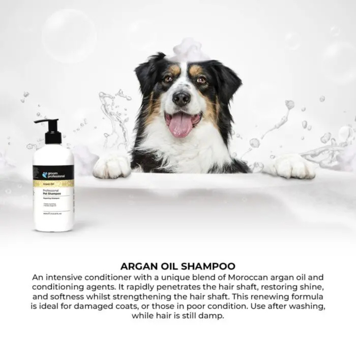 Groom Professional Argan Oil Shampoo[Repairing]- 350 ml