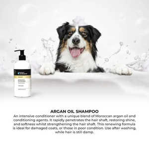 Groom Professional Argan Oil Shampoo[Repairing]- 350 ml