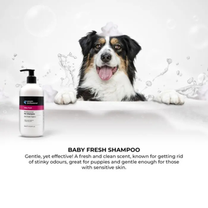 Groom Professional Baby Fresh Shampoo- 350 ml