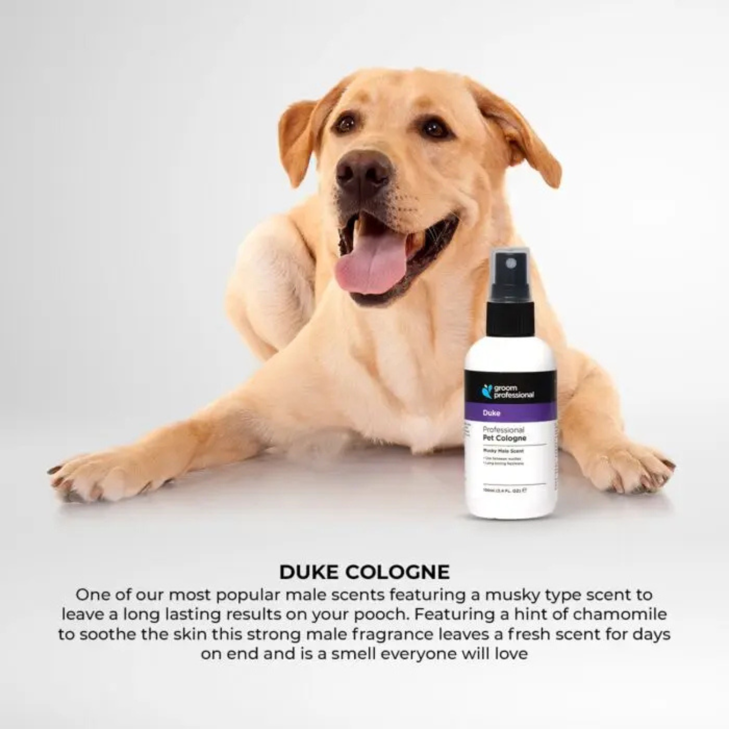 Groom Professional Duke Cologne [Perfume]-Musky Male Scent-100ml