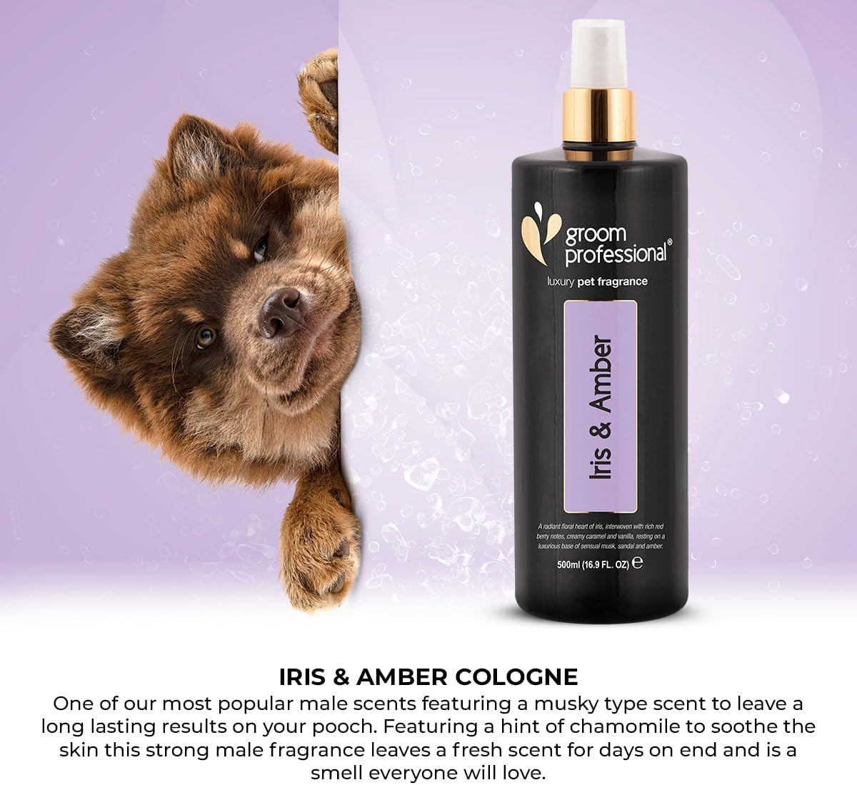 Groom Professional Luxury Iris & Amber Pet Cologne[Volume - 200 ml, Flavor - Iris & Amber]