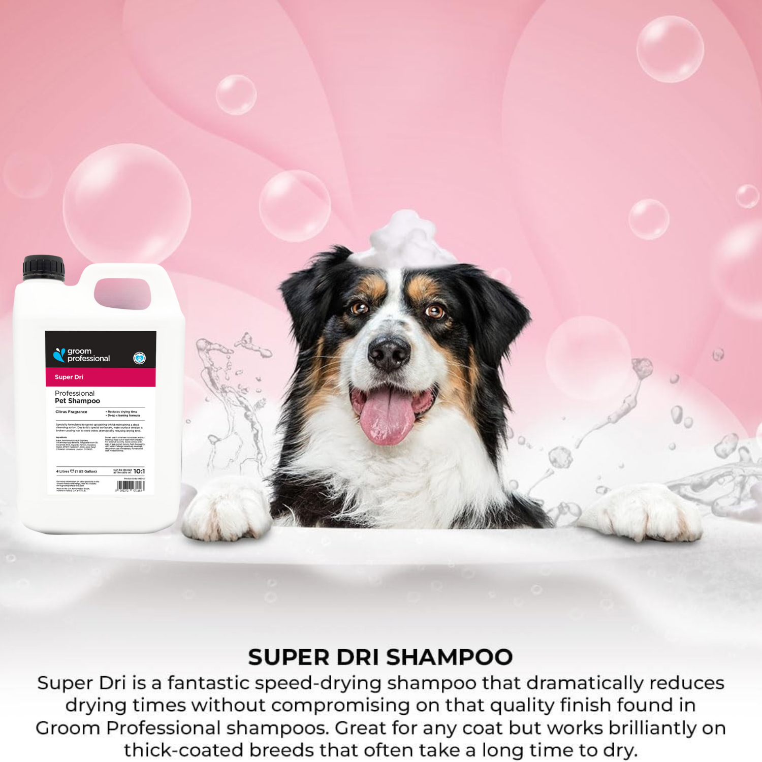 Groom Professional Super Dri Shampoo [Citrus Fragrance]-4 litres