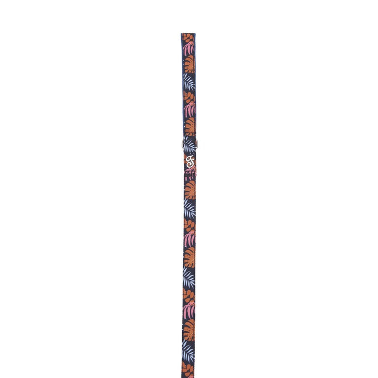 Kami Dog Leash – Blue (2x120cm)