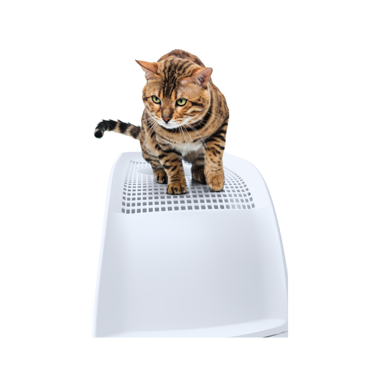 IMAC FRIDA Cat Toilets Green 40x56x43.5cm