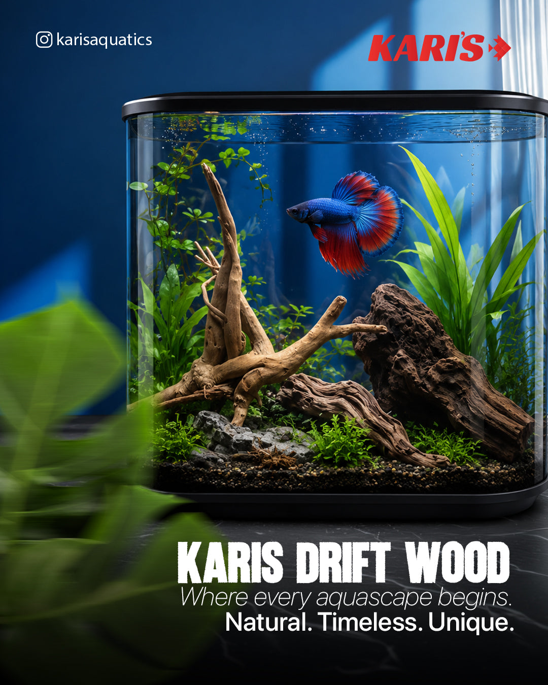 Karis Aquarium Honey Comb Drift Wood-Small,Medium & Large-5kg