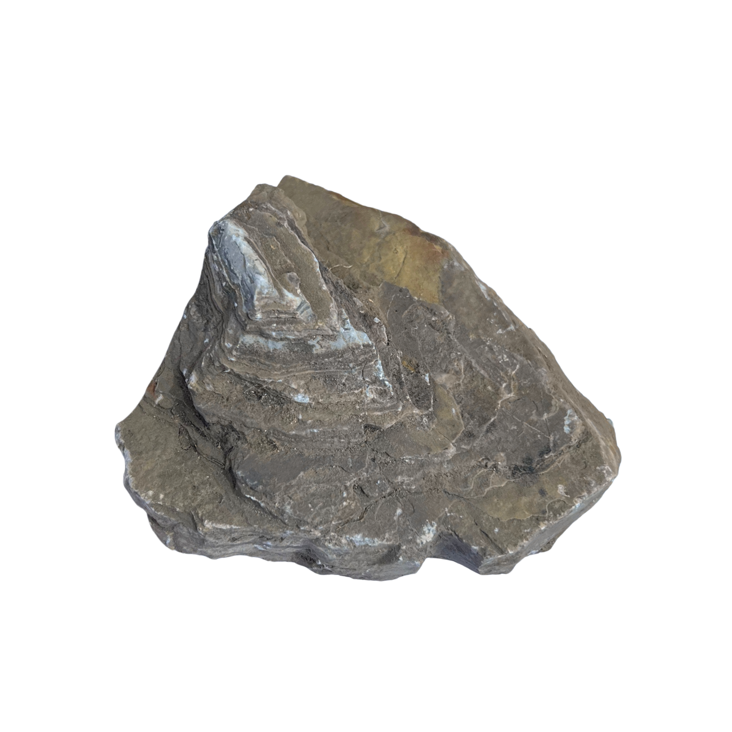 Karis Red Thousand Fossils Rock Small (Per Kg)