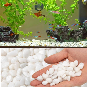Karis White Jade (4-6mm) 10kg