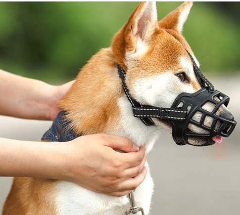 Dog Muzzle - 3 - black