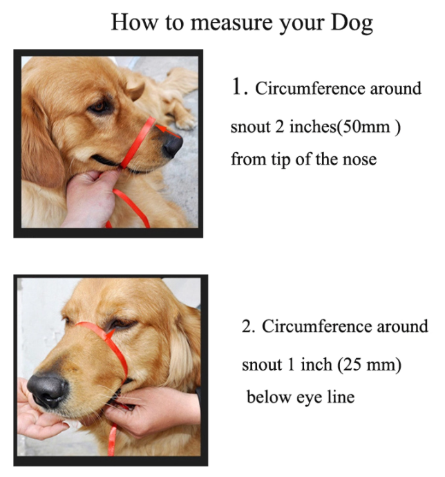 Dog Muzzle PU Leather - M - brown