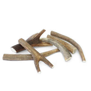 Deer Antler Medium Dog Chew Treat (50-75g)
