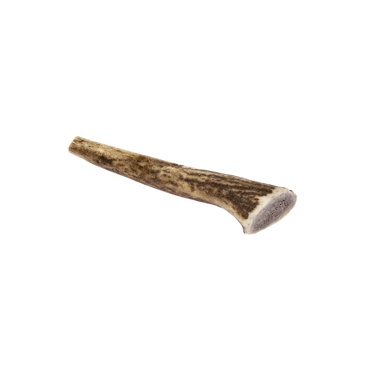 Deer Antler Medium Dog Chew Treat (50-75g)