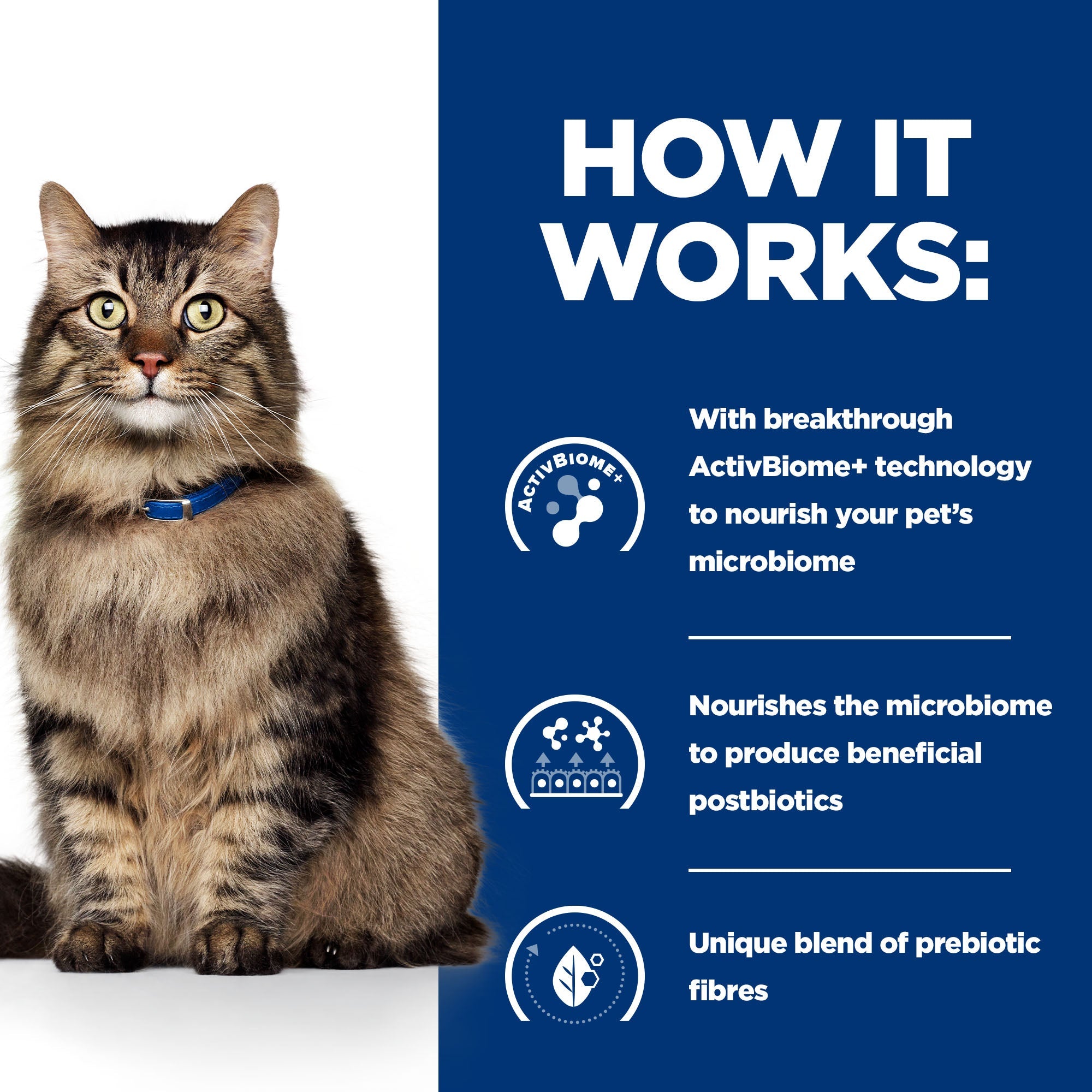 Hill’s Prescription Diet Gastrointestinal Biome Cat food with Chicken (1.5kg)