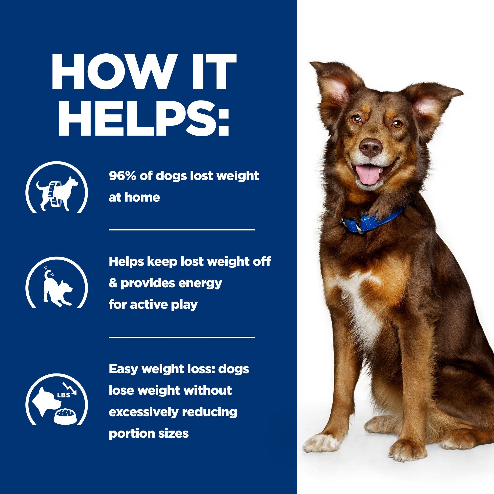 Hill’s Prescription Diet Metabolic Canine with Lamb and Rice (12kg)