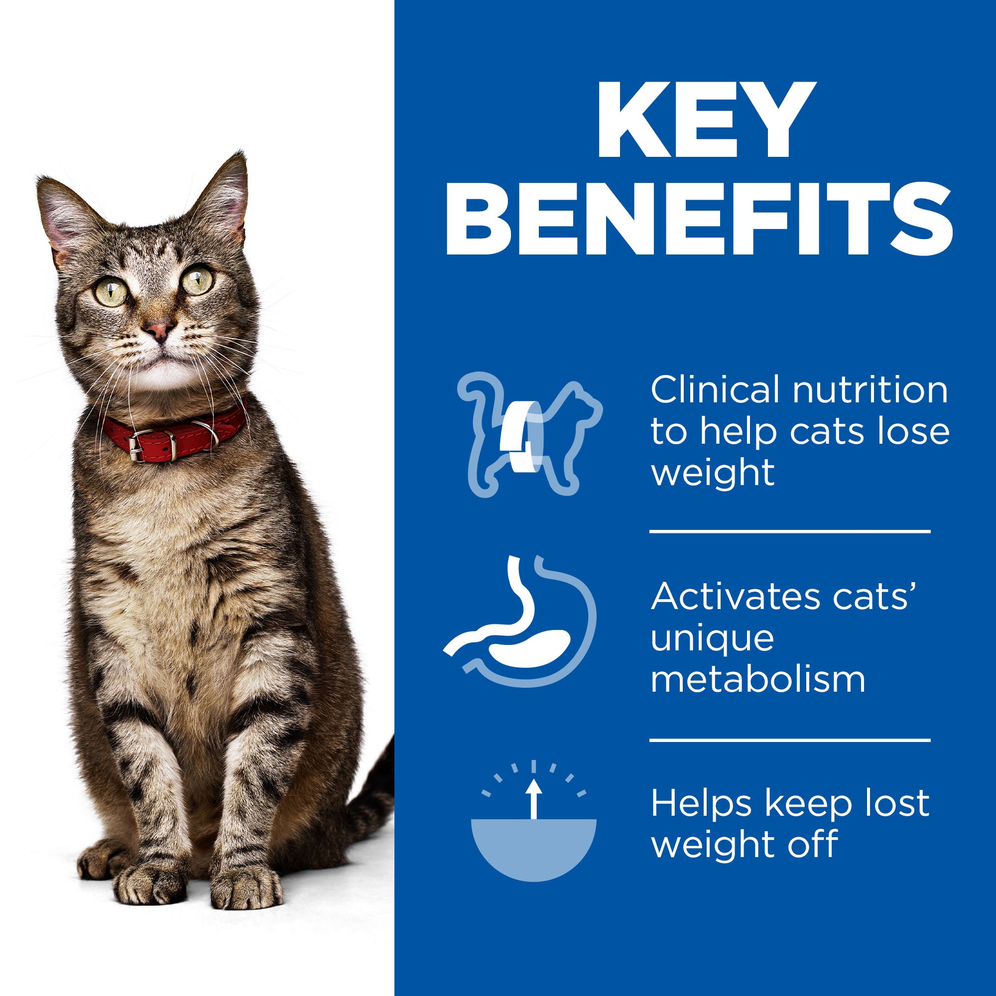 Hill’s Prescription Diet Metabolic Feline with Chicken (1.5kg)