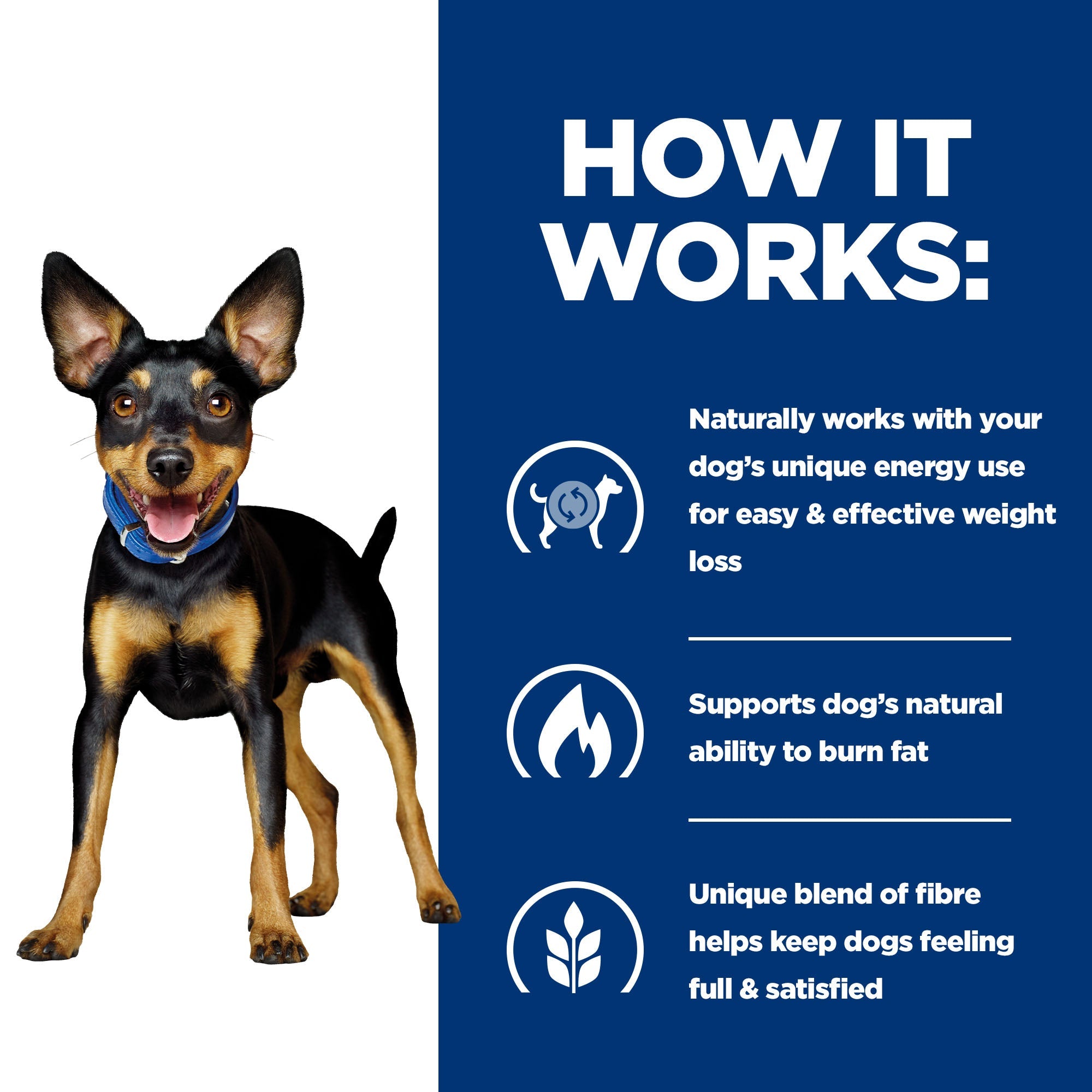 Hill’s Prescription Diet Metabolic Canine Mini with Chicken  (1kg)