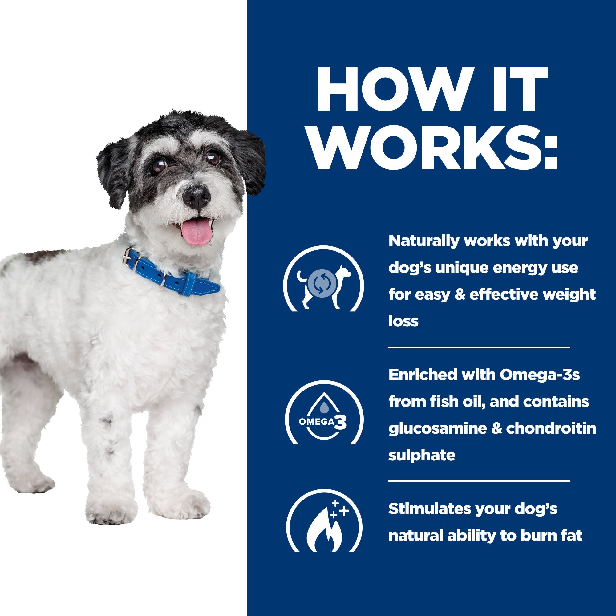 Hill’s Prescription Diet Metabolic + Mobility Mini Dog Food (3kg)