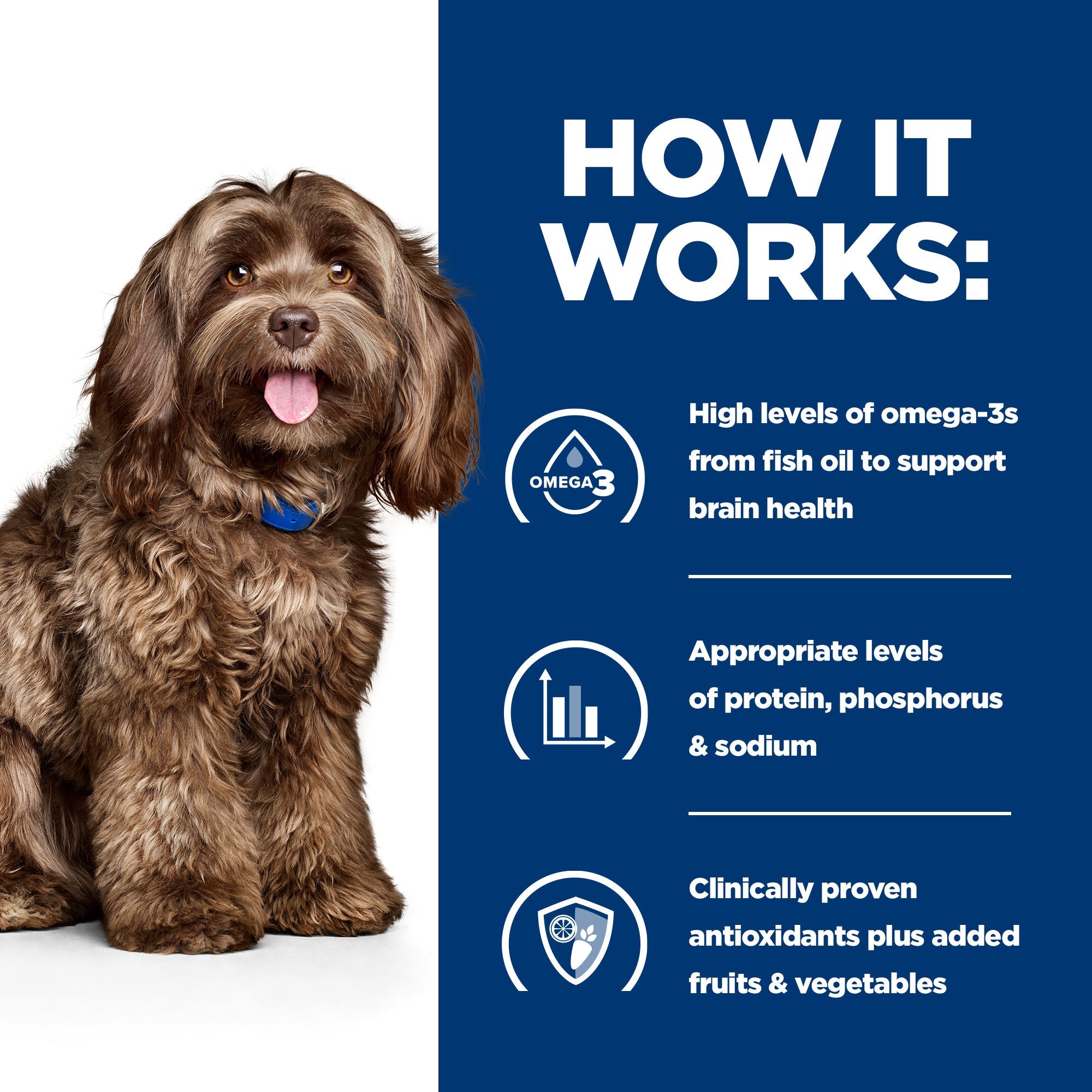 Hill’s Prescription Diet b/d Dry Dog Food (3kg)