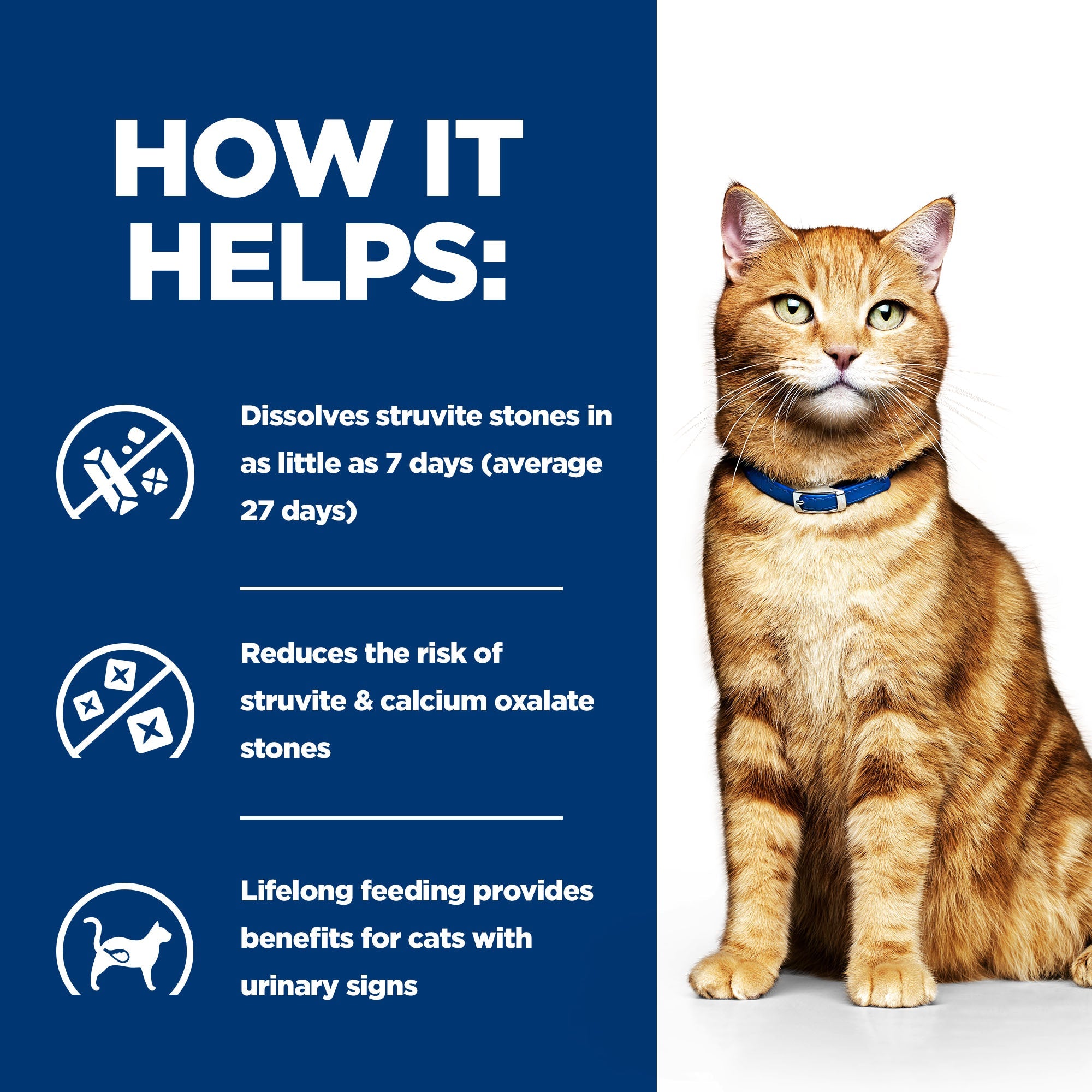 Hill’s Prescription Diet c/d Multicare Feline with Chicken (8kg)