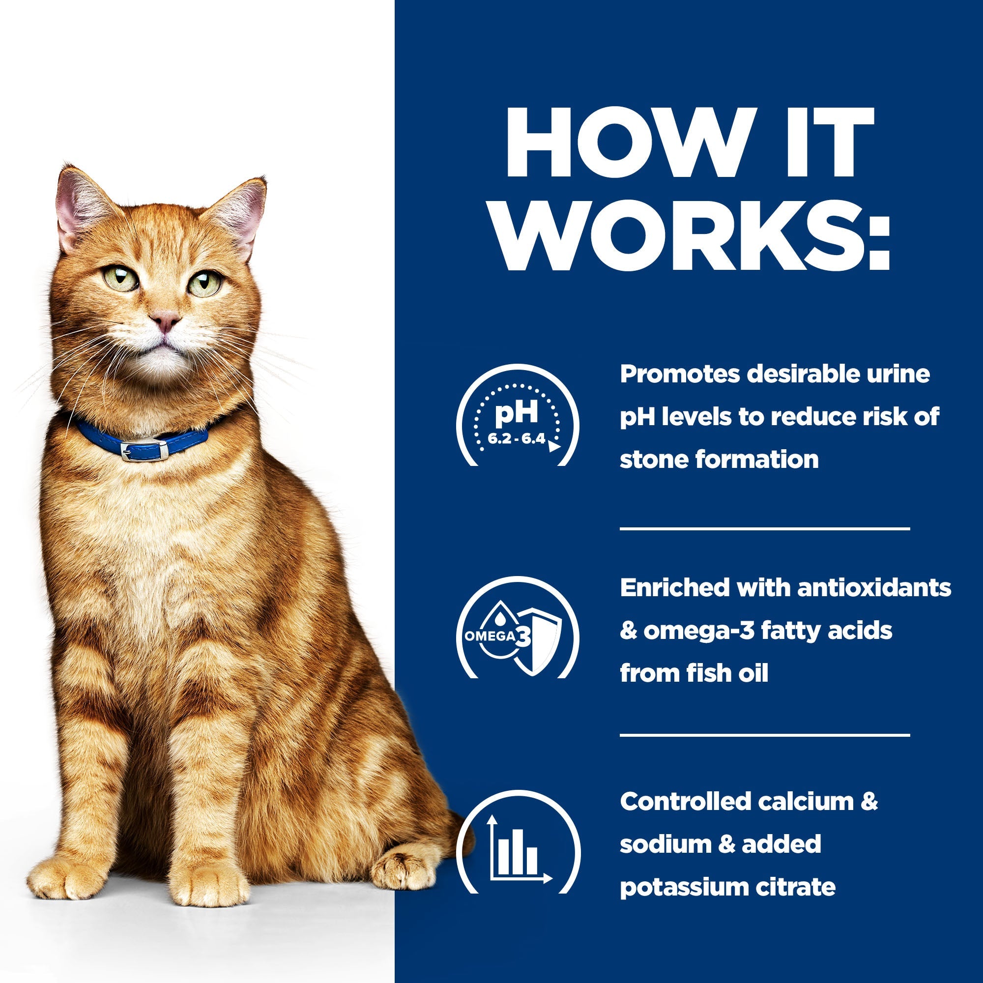 Hill’s Prescription Diet c/d Multicare Feline with Chicken (8kg)