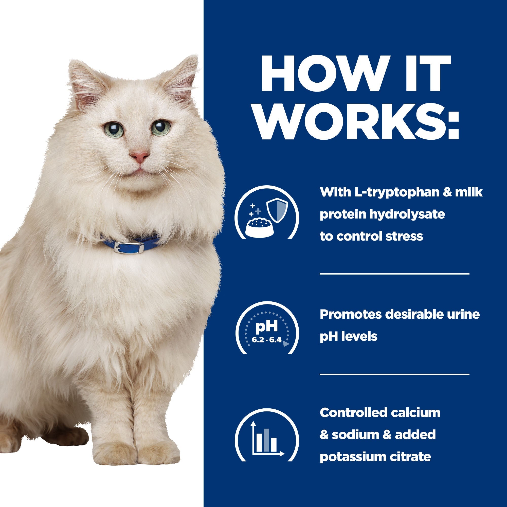 Hill’s Prescription Diet c/d Urinary Stress Cat food with Chicken (3kg)
