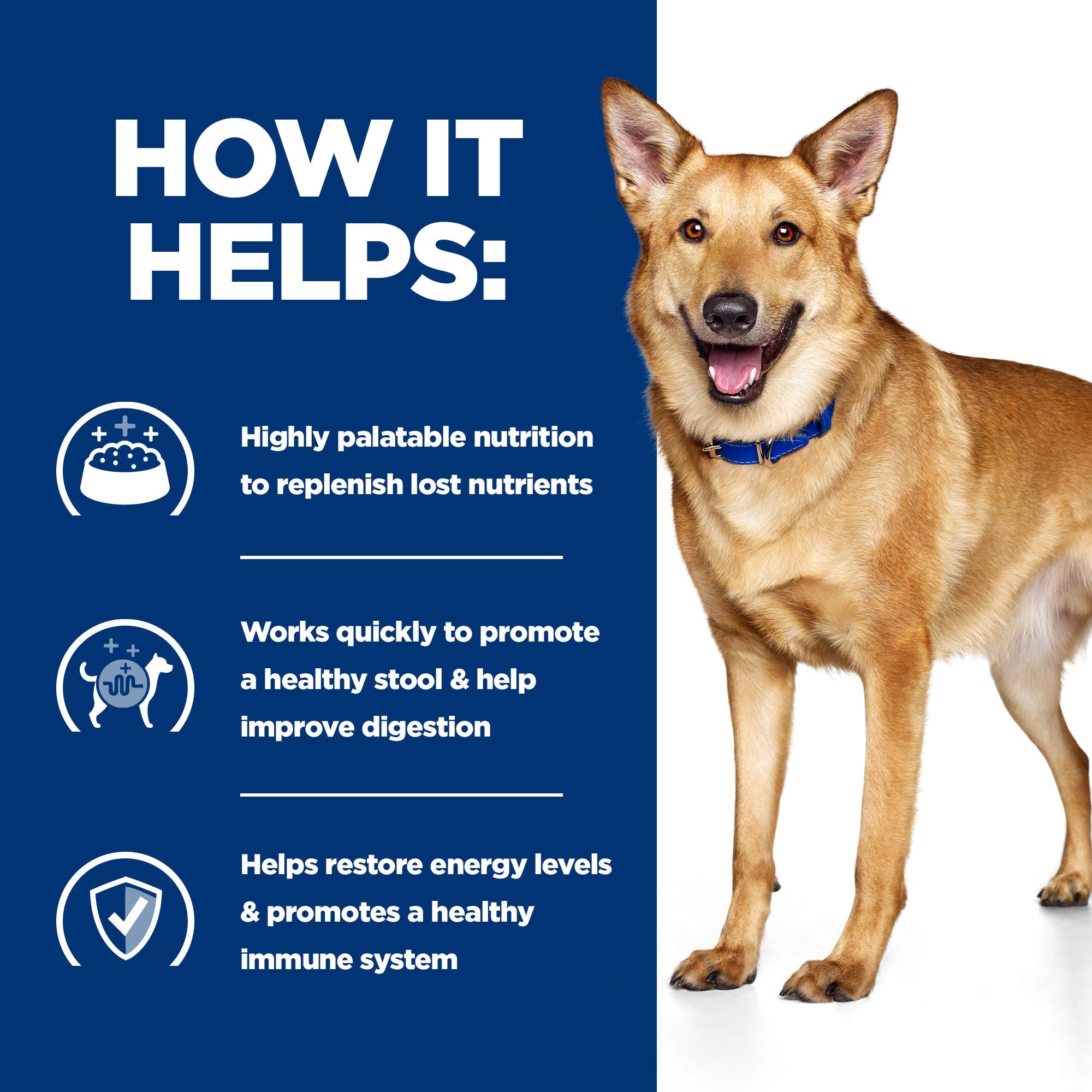 Hill’s Prescription Diet i/d Canine (16kg)