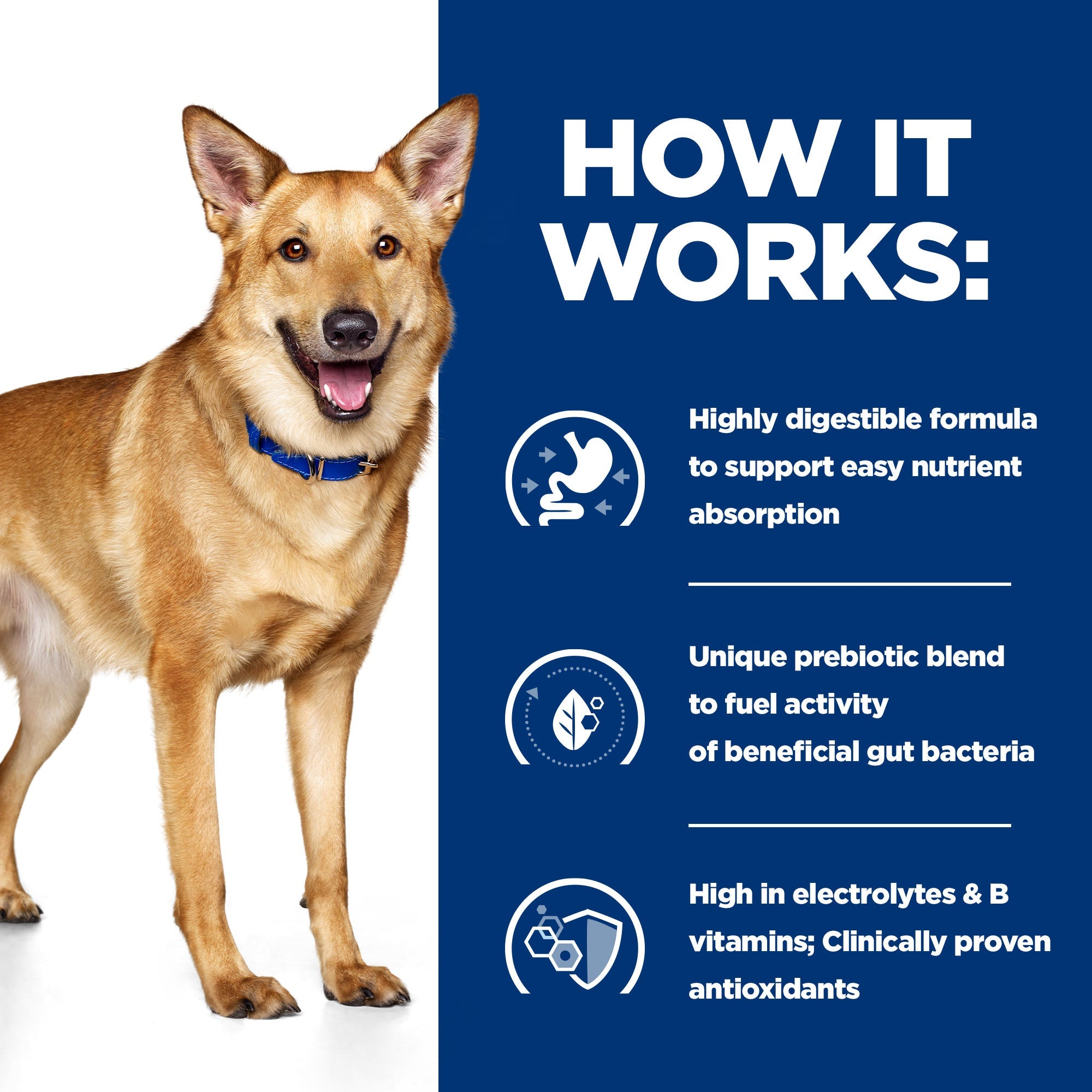 Hill’s Prescription Diet i/d Canine (4kg)
