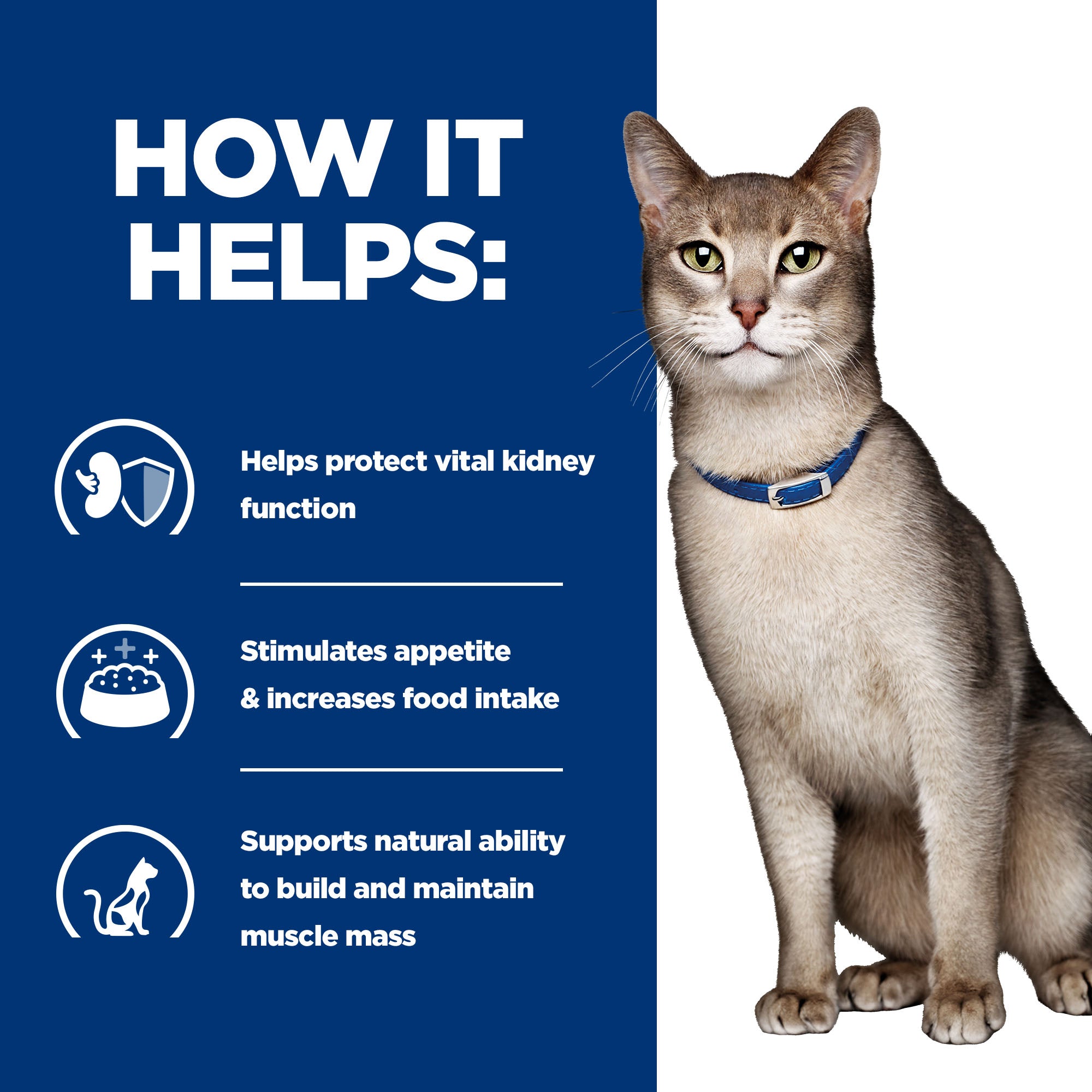 Hill’s Prescription Diet k/d Feline with Chicken (3kg)