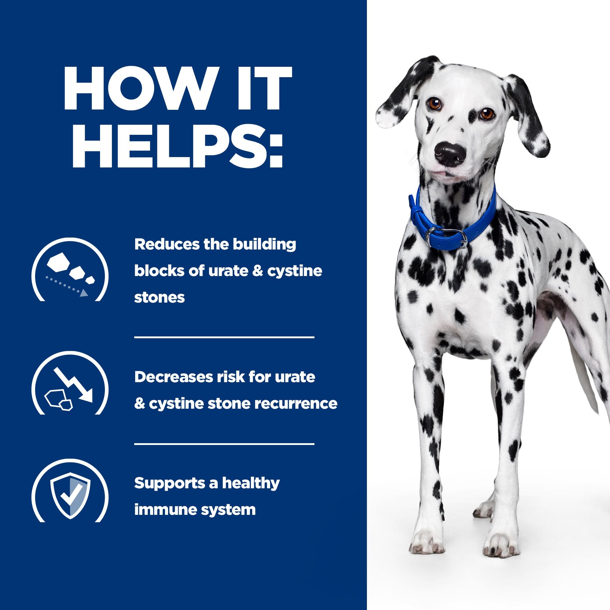 Hill’s Prescription Diet u/d Canine (4kg)