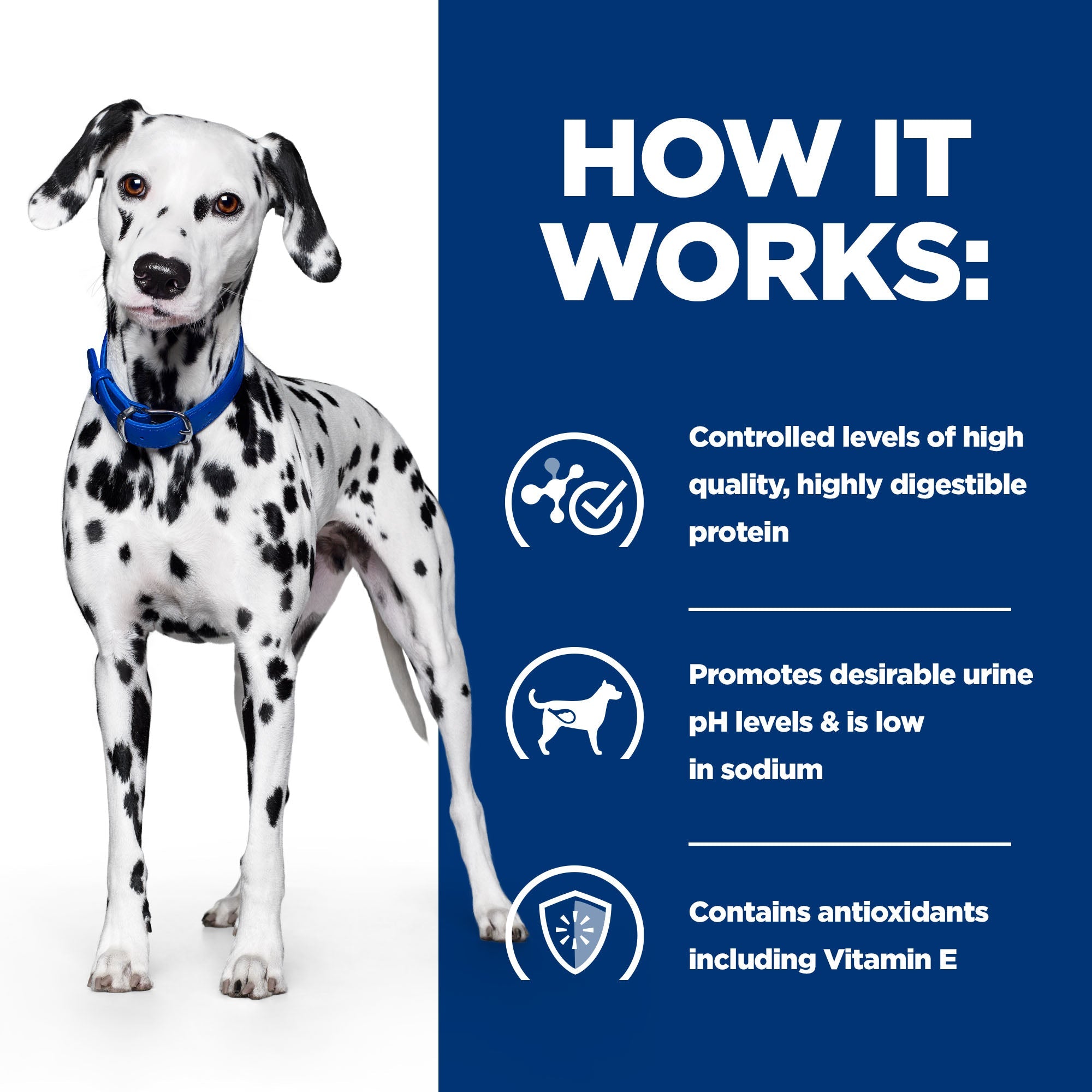 Hill’s Prescription Diet u/d Canine (4kg)